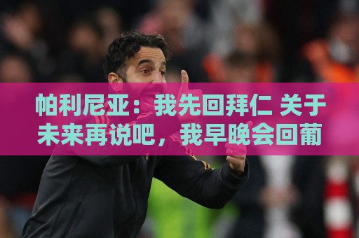 帕利尼亚：我先回拜仁 关于未来再说吧，我早晚会回葡萄牙踢球