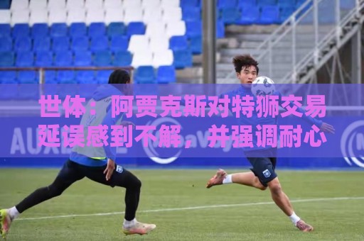 世体：阿贾克斯对特狮交易延误感到不解，并强调耐心并非无限