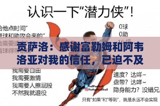 贡萨洛:感谢富勒姆和阿韦洛亚对我的信任,已迫不及待开始新征程 贡萨洛:感谢富勒姆和阿韦洛亚对我的信任,已迫不及待开始新征程