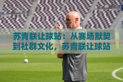 苏青联让球站：从赛场默契到社群文化，苏青联让球站背后那些鲜为人知的运转逻辑🕑线上十大最稳押球网推荐直播源不卡顿在线观看初盘全场回放