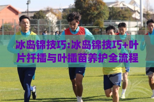冰岛锦技巧:冰岛锦技巧+叶片扦插与叶插苗养护全流程(冰岛锦技巧)🕑今晚靠谱最火进球站社区排行信号赔率升盘在线看 冰岛锦技巧:冰岛锦技巧+叶片扦插与叶插苗养护全流程(冰岛锦技巧)🕑今晚靠谱最火进球站社区排行信号赔率升盘在线看