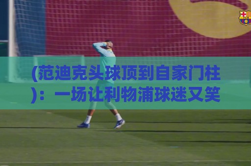 (范迪克头球顶到自家门柱)：一场让利物浦球迷又笑又哭的离奇表演【范迪克头球顶到自家门柱】